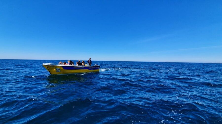 From Benagil: Benagil Cave & Marinha Beach Express Tour - Five minutes inside Benagil Cave