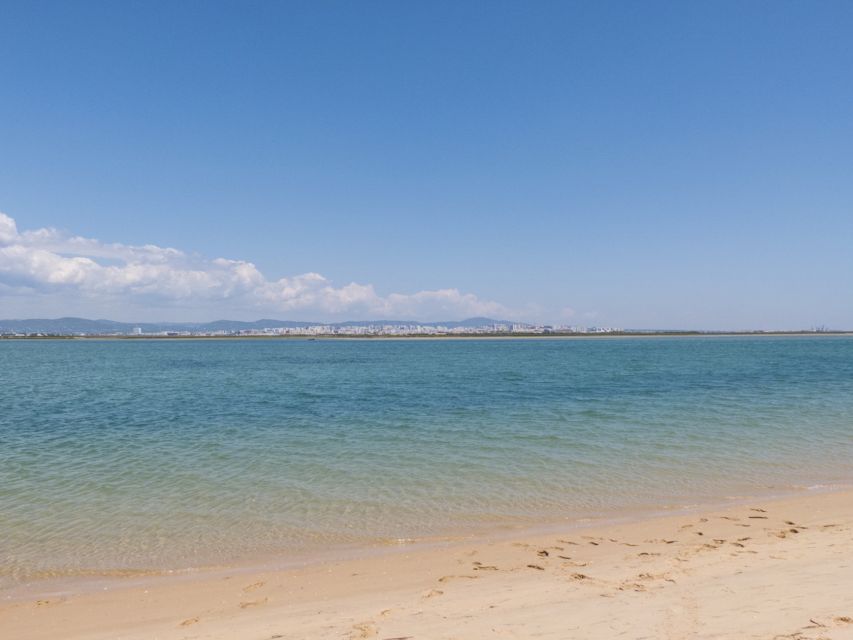 From Faro: 2-Hour Guided Bird Watching Boat Trip - First sights on the two-hour route