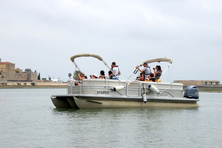 From Faro: 2-Hour Guided Bird Watching Boat Trip - The deserted beach stop