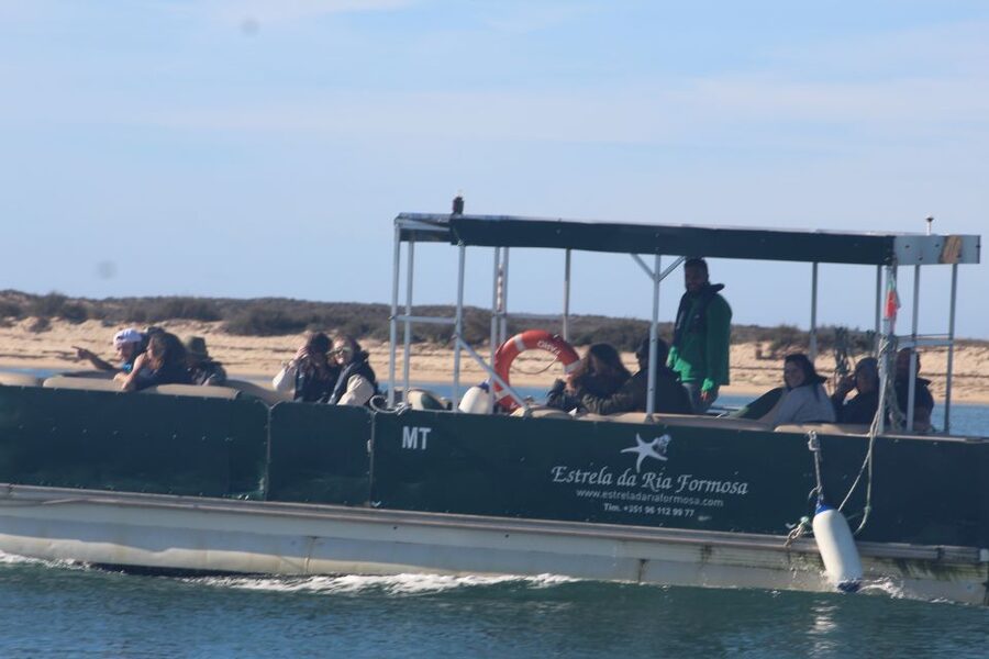 From Faro: 2-Island, 2-Stop Ria Formosa Catamaran Tour - What this Faro boat trip really offers