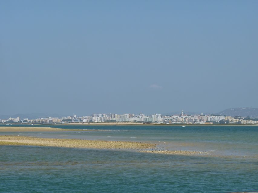 From Faro: 2-Island, 2-Stop Ria Formosa Catamaran Tour - Farol Island and its lighthouse community