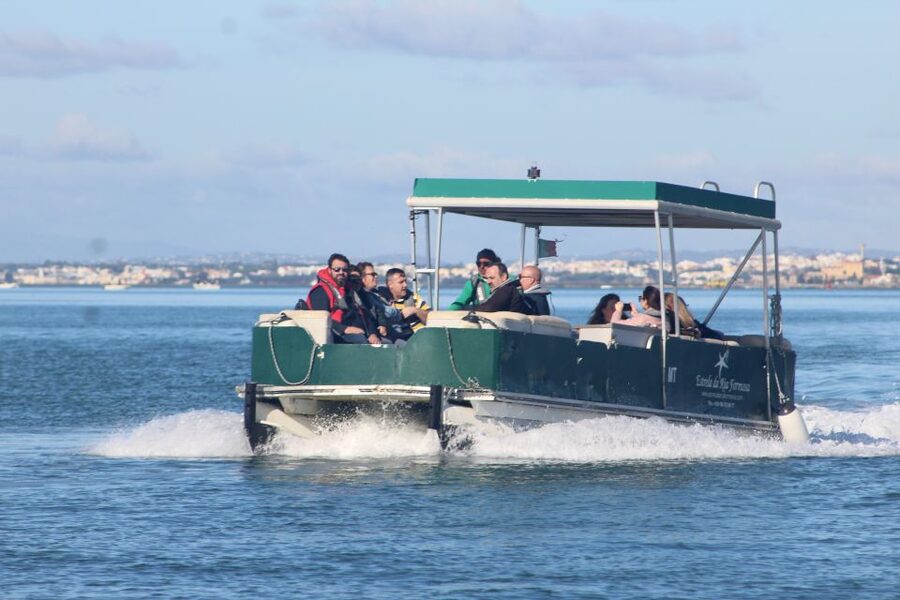 From Faro: 4 Stops, 3 Islands in Ria Formosa Catamaran Tour - Ilha do Farol and its lighthouse village