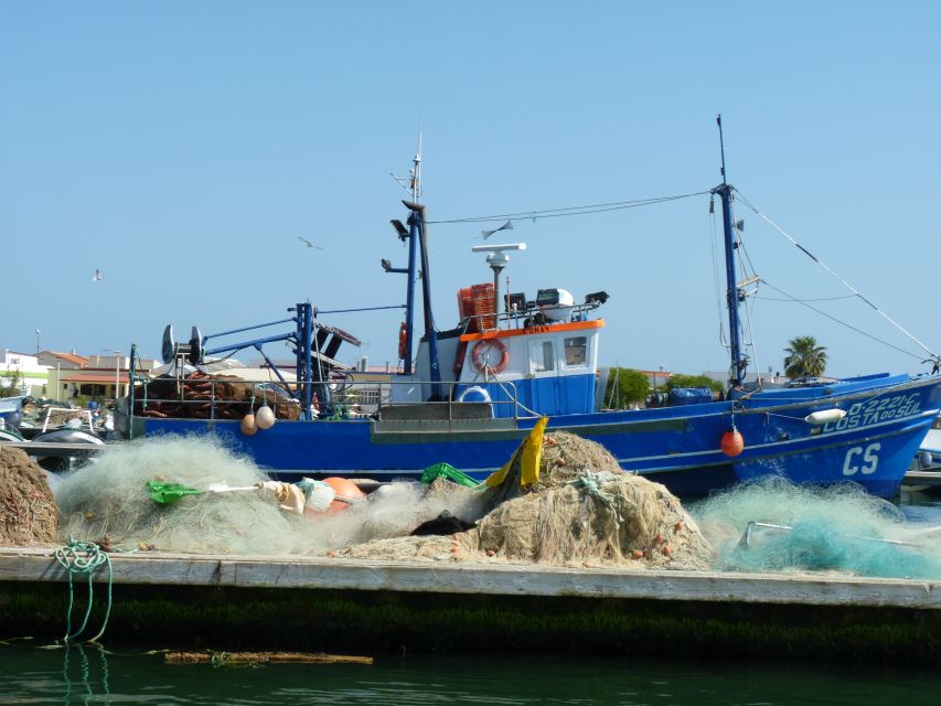 From Faro: 4 Stops, 3 Islands in Ria Formosa Catamaran Tour - Hangares: a look at oyster farming