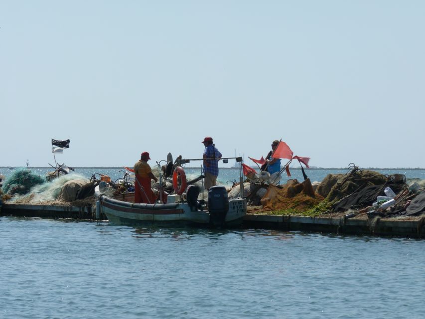 From Faro: 4 Stops, 3 Islands in Ria Formosa Catamaran Tour - Culatra Island: two hours for food and village life
