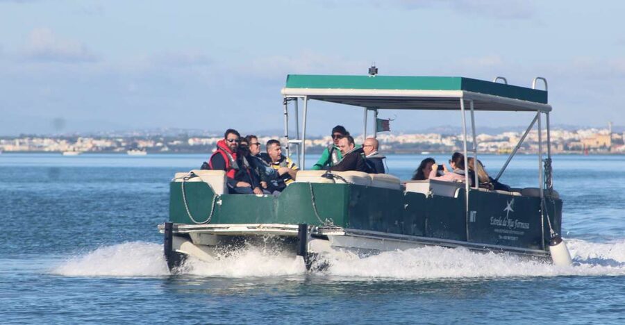 From Faro: 4 Stops, 3 Islands in Ria Formosa Catamaran Tour - Ilha Deserta: clear water and open beach