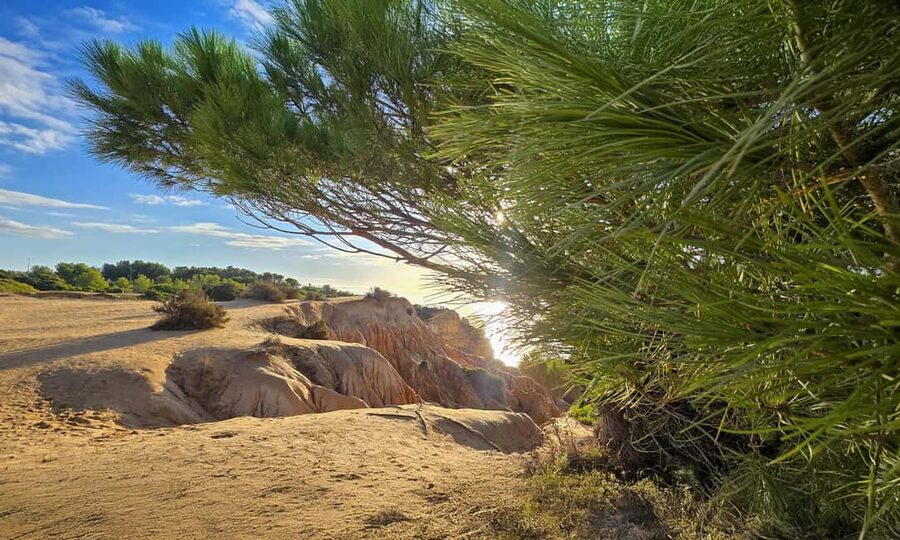 From Faro: 7 Valleys Hiking, Benagil Cave, & Snorkeling Tour - Two hours to swim and snorkel