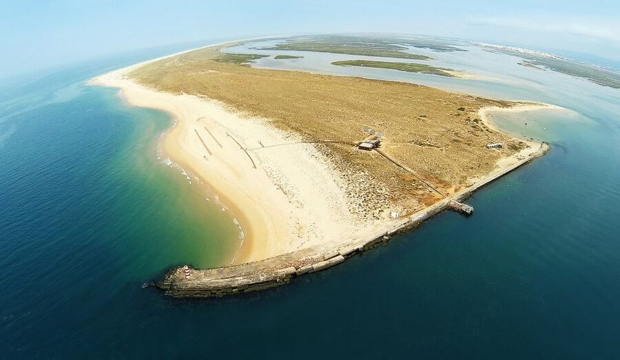 From Faro: Catamaran Boat Trip to Deserta Island with Stop - The 2-kilometer boardwalk through the dunes