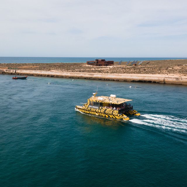 From Faro: Catamaran Boat Trip to Deserta Island with Stop - Forty-five minutes through Ria Formosa