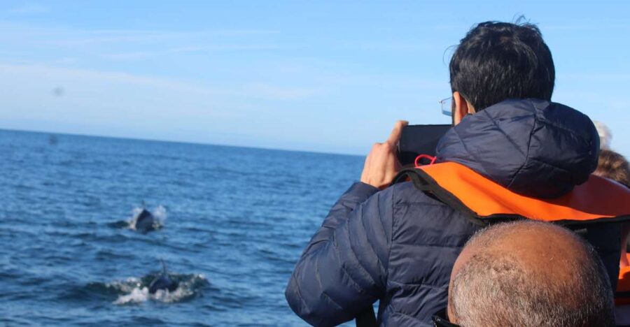 From Faro: Dolphin Watching & 2 Islands Tour - Why this Faro boat trip is worth considering