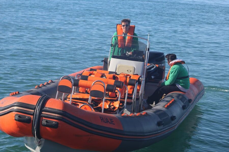 From Faro: Dolphin Watching & 2 Islands Tour - Crossing the Ria Formosa toward the Atlantic