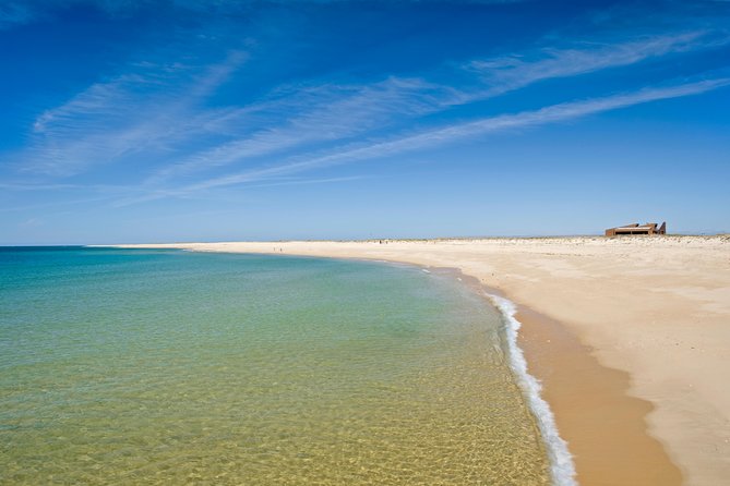 From Faro: Ria Formosa Eco Tour guided by Marine Biologist - The marine biology angle