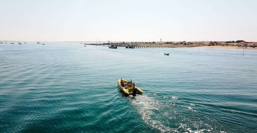 From Faro: Ria Formosa Hop-On Hop-Off 3 Islands Cruise - Farol Island, the lighthouse, and beach bars