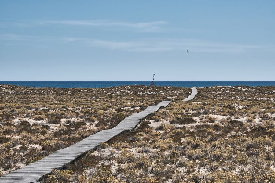 From Faro: Ria Formosa Hop-On Hop-Off 3 Islands Cruise - Culatra Island and its working fishing community