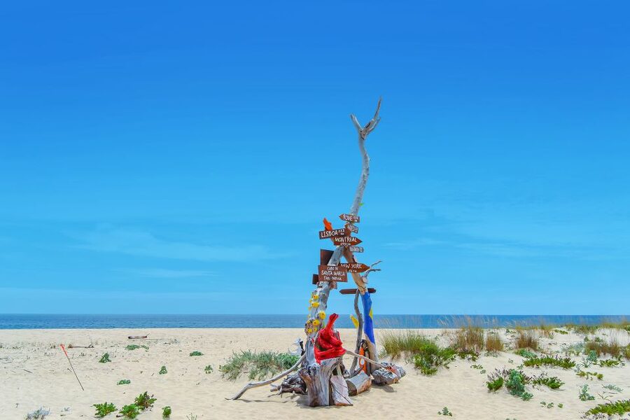 From Faro: Ria Formosa Hop-On Hop-Off 3 Islands Cruise - Who will enjoy this day most