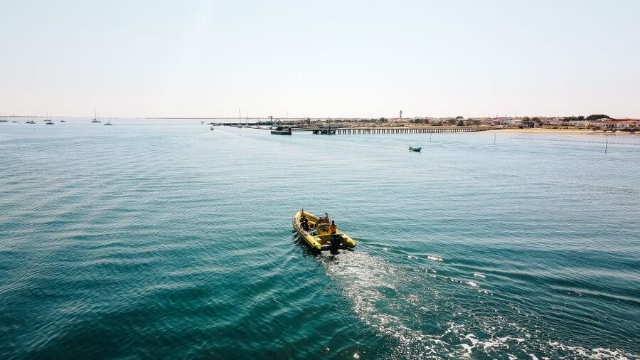 From Faro: Ria Formosa Hop-On Hop-Off 3 Islands Cruise - Barreta Island and the quiet of Desert Island