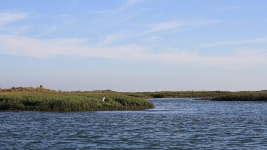 From Faro: Ria Formosa Sunset Boat Trip - Booking and timing tips