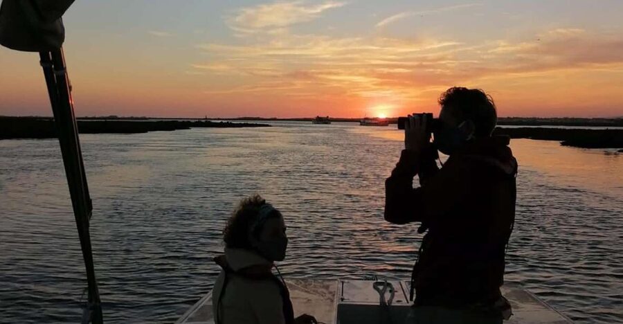 From Faro: Ria Formosa Sunset Boat Trip - Sunset views and Faro Old Town