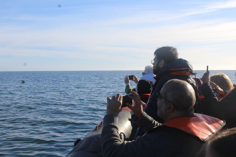 From Faro: Wildlife and Dolphin-Watching Speedboat Tour - Meeting in Faro and getting aboard