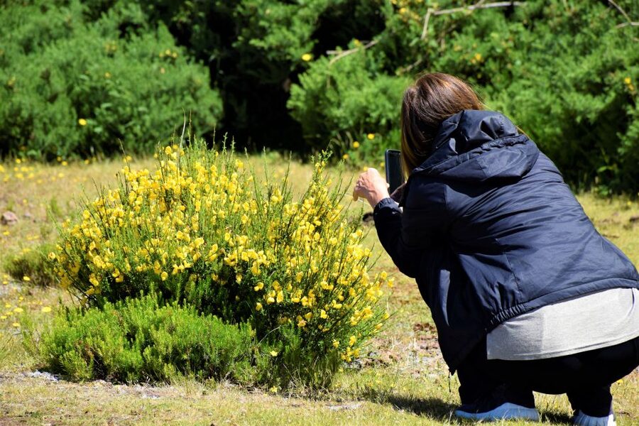 From Funchal: 2-Day Guided Tour of Madeira - The guides make the difference