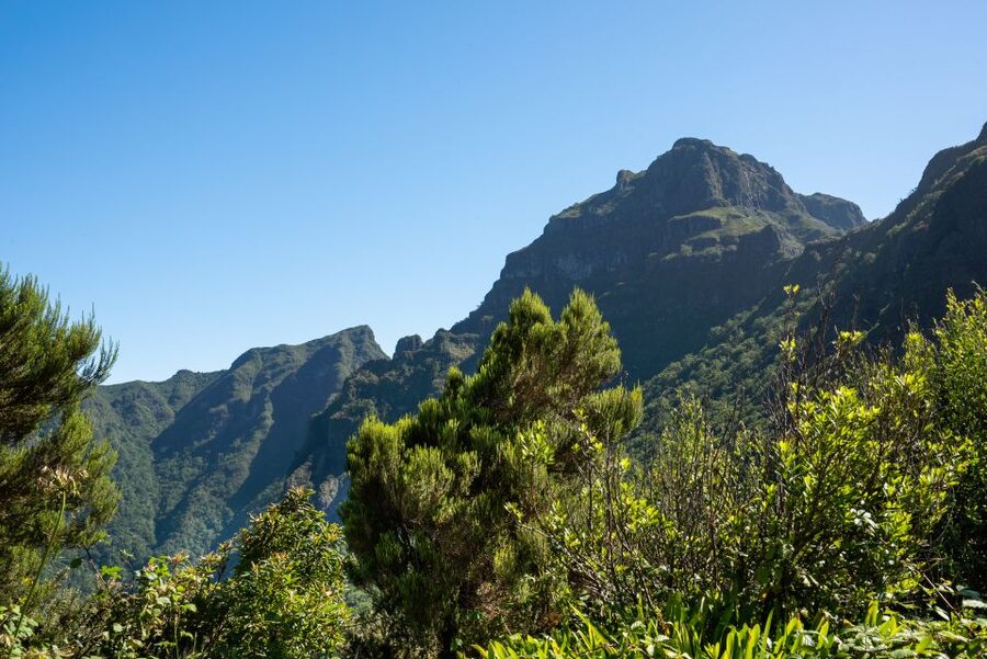 From Funchal: Best of Madeira's West Tour - São Vicente and the journey back to Funchal