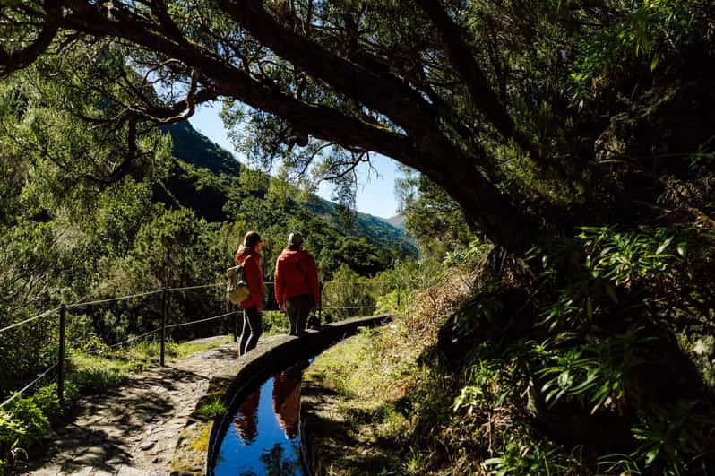 From Funchal/Caniço: Rabaçal Hike (25 Fontes) Bus Transfer - The one-hour ride into Rabaçal