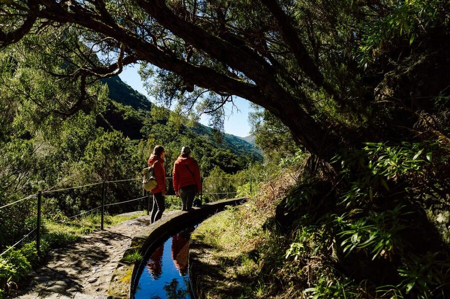 From Funchal/Caniço: Rabaçal Hike (25 Fontes) Bus Transfer - Is five hours too long?