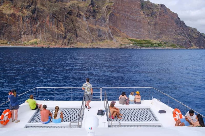 From Funchal: Ecological Catamaran Dolphin Whale Watching - Key points before you book