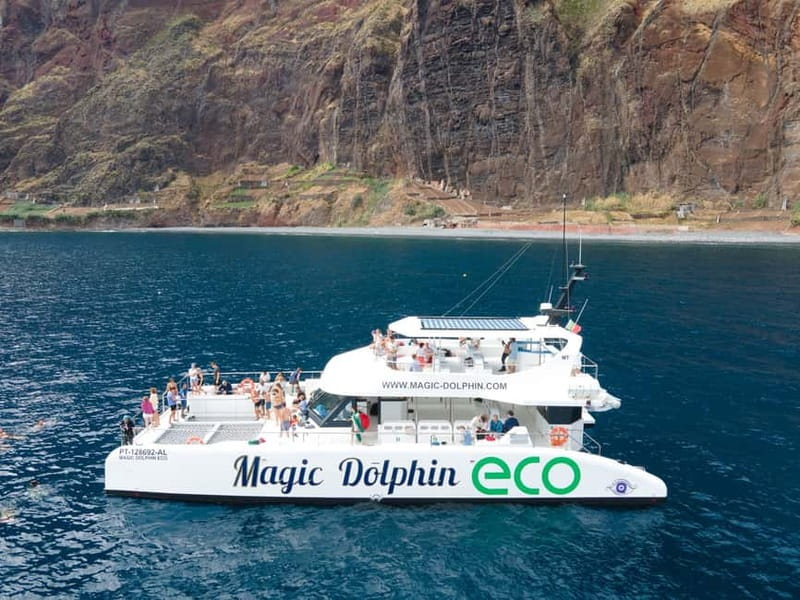 From Funchal: Ecological Catamaran Dolphin Whale Watching - Finding dolphins and whales offshore
