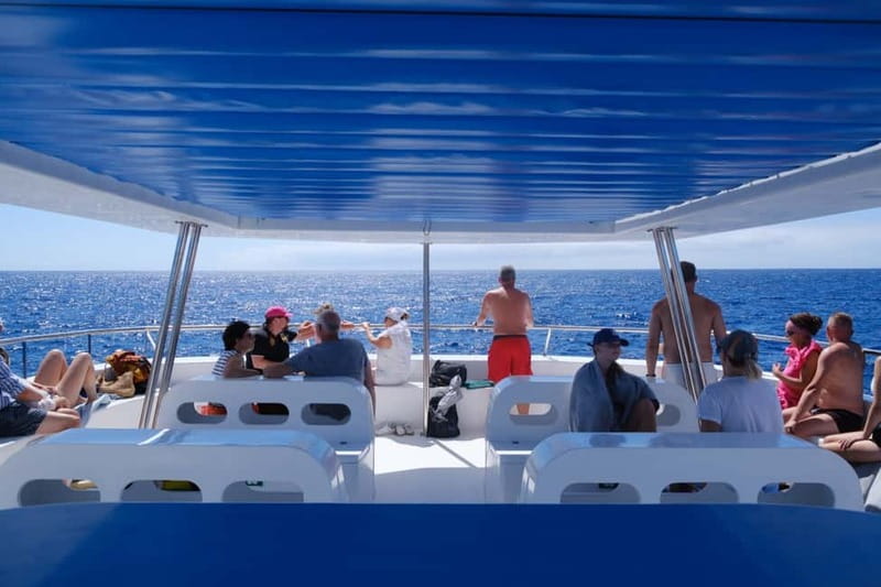 From Funchal: Ecological Catamaran Dolphin Whale Watching - The guides add useful context without overloading you