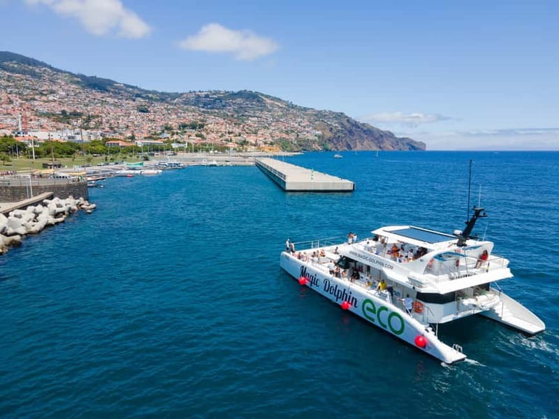 From Funchal: Ecological Catamaran Dolphin Whale Watching - Choosing the best place to sit on deck