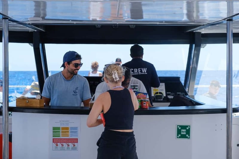 From Funchal: Ecological Catamaran Dolphin Whale Watching - Cabo Girão and the return along Madeira’s coast