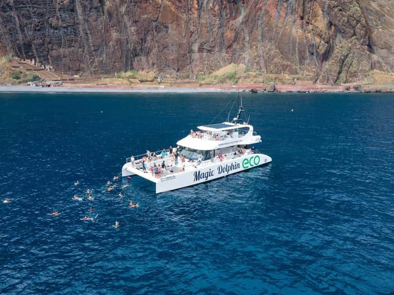 From Funchal: Ecological Catamaran Dolphin Whale Watching - Is $40 good value?