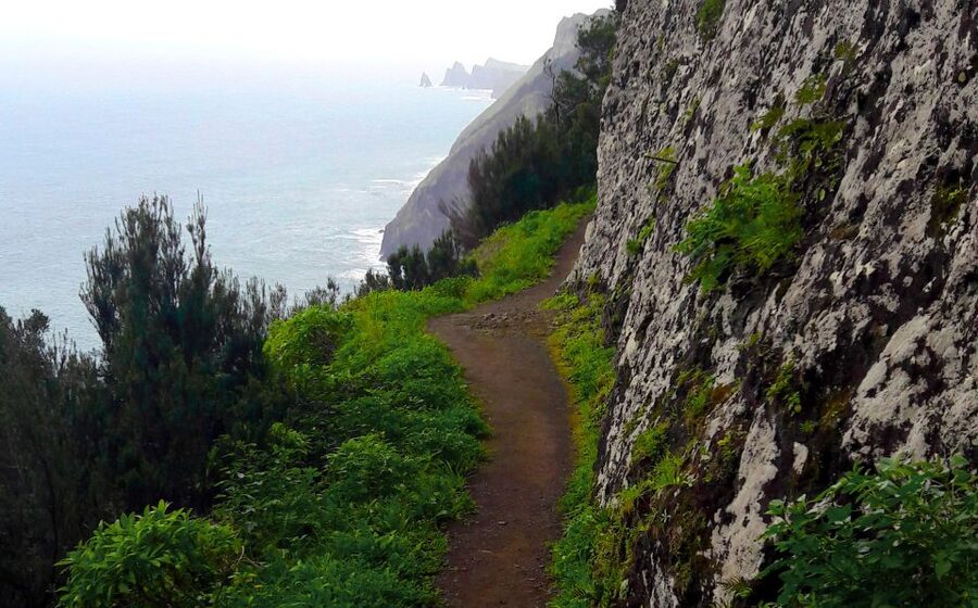 From Funchal: Machico to Porto da Cruz Larano Cliff Hike - Machico’s farmland and the first climb