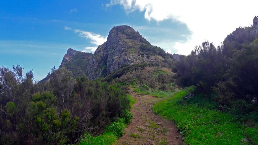 From Funchal: Machico to Porto da Cruz Larano Cliff Hike - The Larano Cliff section