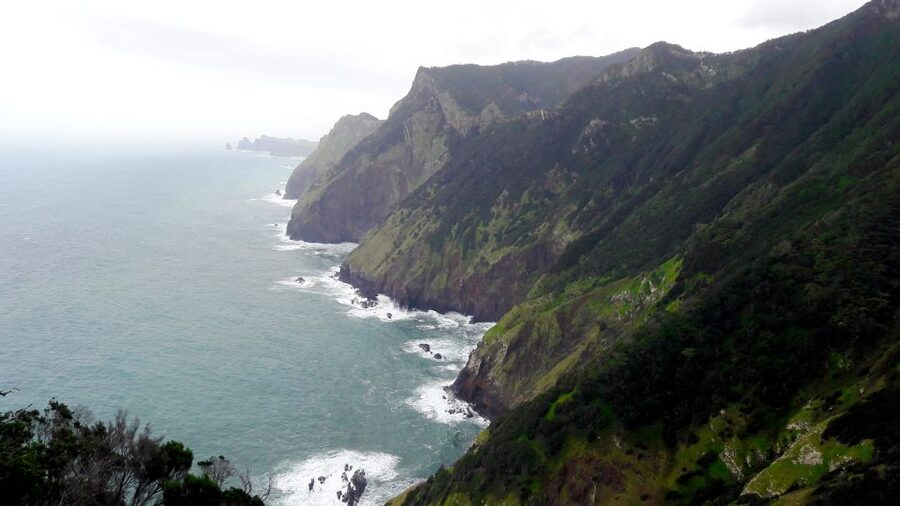 From Funchal: Machico to Porto da Cruz Larano Cliff Hike - What the $50 price really covers