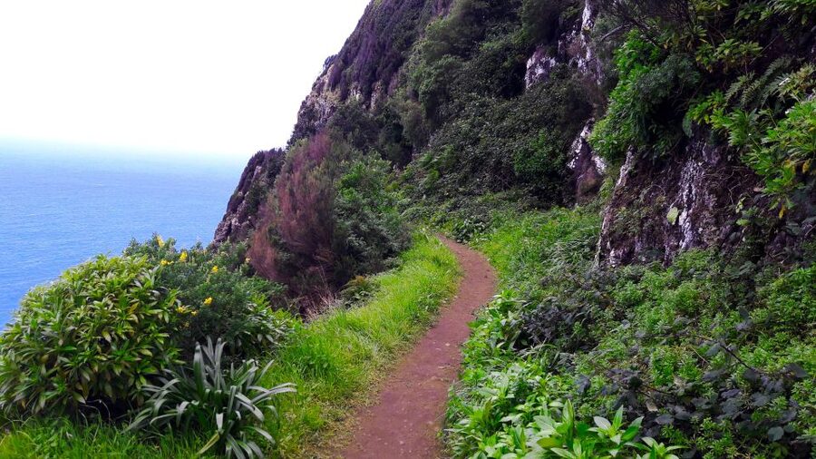 From Funchal: Machico to Porto da Cruz Larano Cliff Hike - Final verdict: a strong choice for Madeira’s northeast
