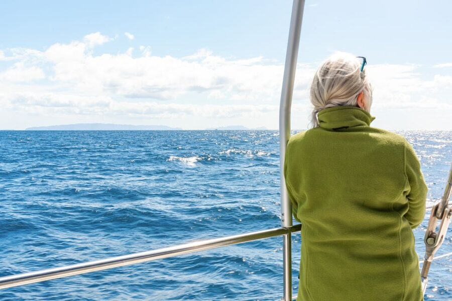 From Funchal: Madeira Dolphin and Whale Watching Tour - Key points before you book