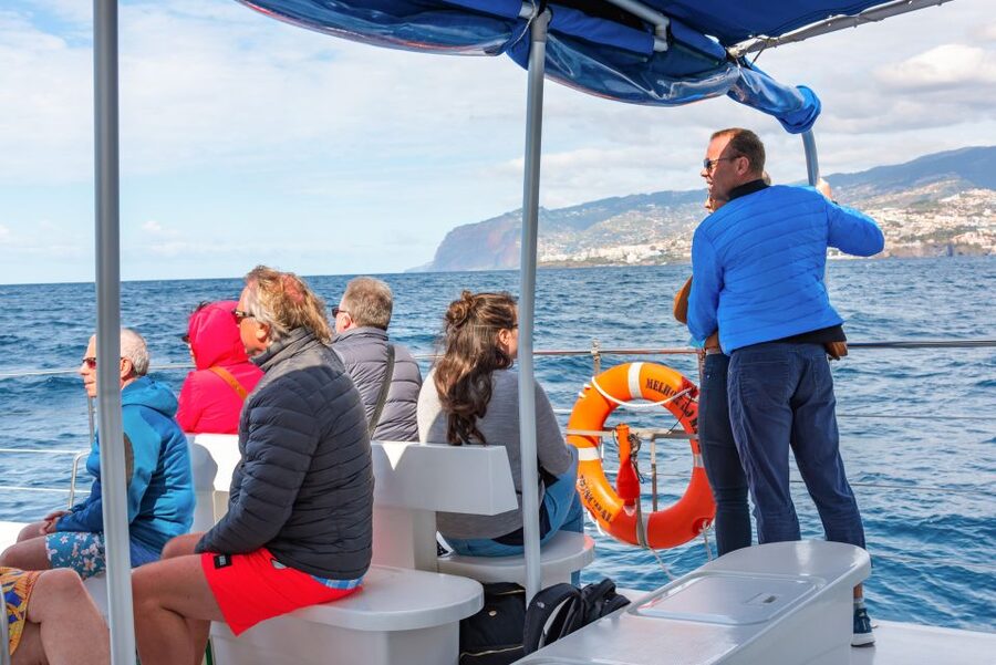 From Funchal: Madeira Dolphin and Whale Watching Tour - Who will enjoy this tour most