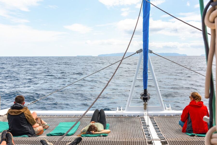 From Funchal: Madeira Dolphin and Whale Watching Tour - Is $47 a good value?