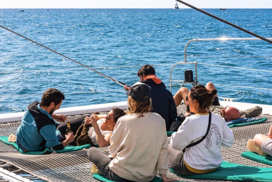 From Funchal: Madeira Dolphin and Whale Watching Tour - When to schedule this Madeira cruise