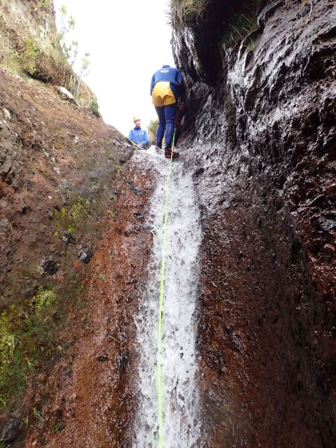 From Funchal: Madeira Island Canyoning for Beginners - Key points to know before booking