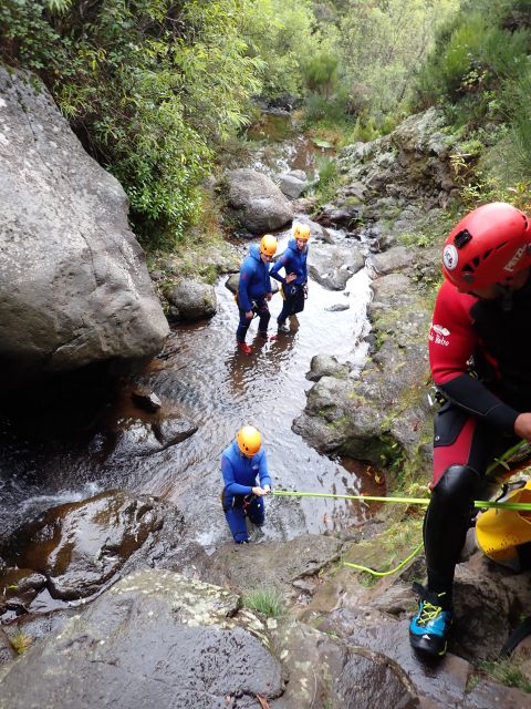 From Funchal: Madeira Island Canyoning for Beginners - Slides, pools, jumps, and rope descents