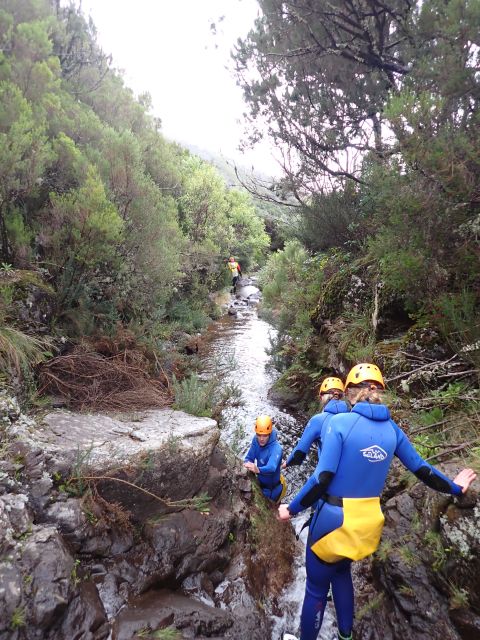From Funchal: Madeira Island Canyoning for Beginners - A close look at Madeira’s natural side