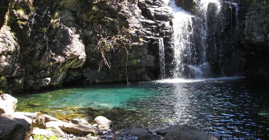 From Funchal: Madeira Lakes Levada Guided Hike - Why this Madeira hike is worth your day