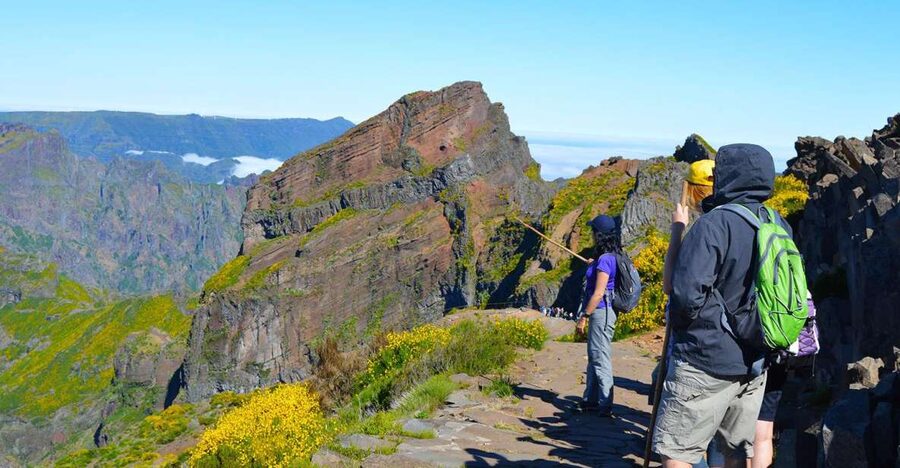 From Funchal: Madeira Peaks Mountain Walk - Key points to know before you book