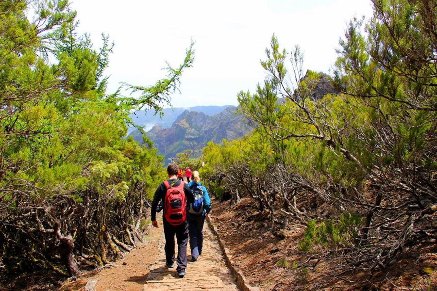From Funchal: Madeira Peaks Mountain Walk - What to pack for the 8-hour hike