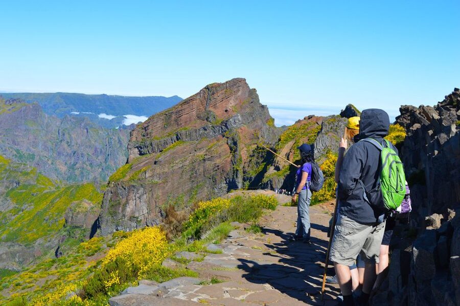 From Funchal: Madeira Peaks Mountain Walk - From Funchal to Madeira’s high peaks