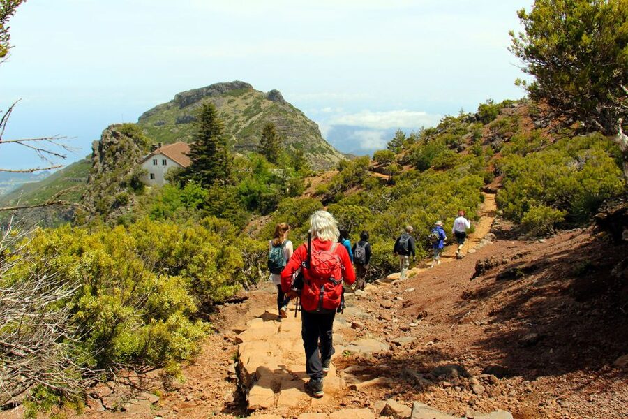 From Funchal: Madeira Peaks Mountain Walk - The hard part: stairs, ridges, and exposed sections
