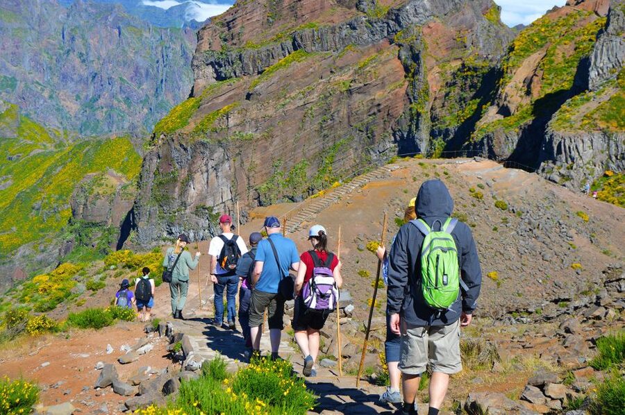 From Funchal: Madeira Peaks Mountain Walk - Pico Ruivo, Madeira’s highest point