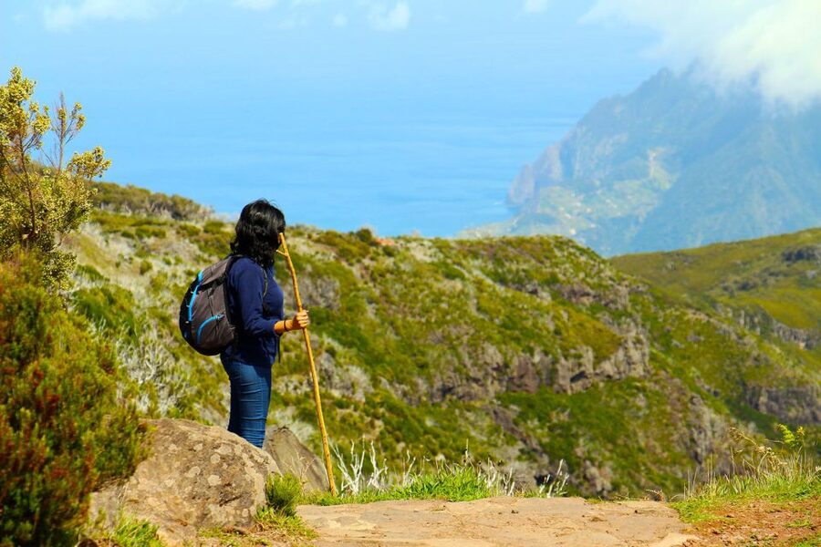 From Funchal: Madeira Peaks Mountain Walk - Plants, flowers, and Madeira’s oldest heather forest